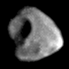 图:NASA/JPL · Public domain · Wikimedia Commons 木卫十四