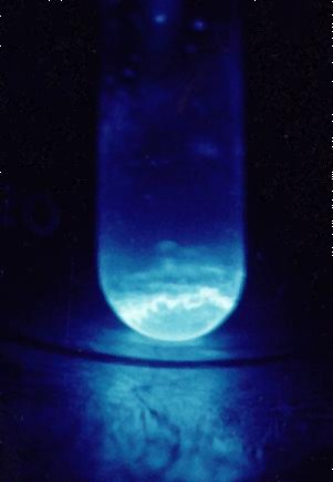 图:Haire, R. G., US Department of Energy. T… · Public domain · Wikimedia Commons 锿